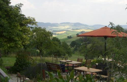 Alpaka-Ferien - Foto 5