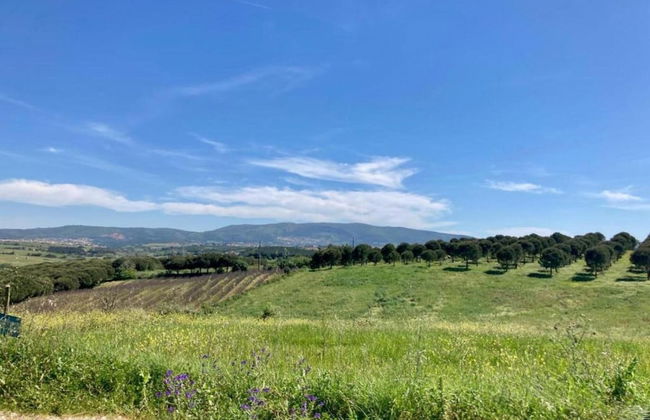 Cozy Villa near Óbidos with Private Swimming Pool - Foto 39