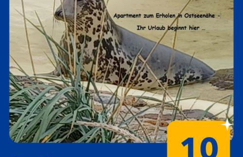 SeeLund - Meeresrauschen lauschen - ruhiges sonniges Apartment mit Garten und Terrasse nahe Strand und Ostsee - Foto 12
