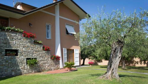 Nel Giardino Degli Ulivi - Foto 5