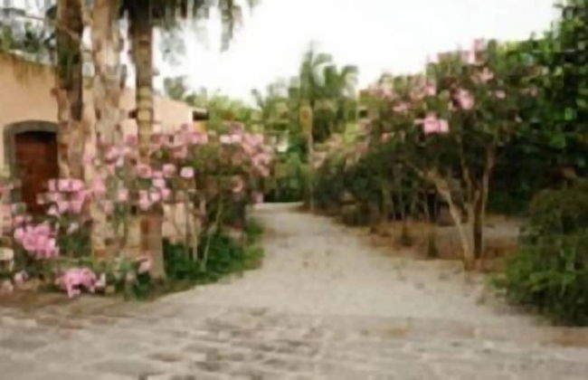 La Grevillea - Foto 8