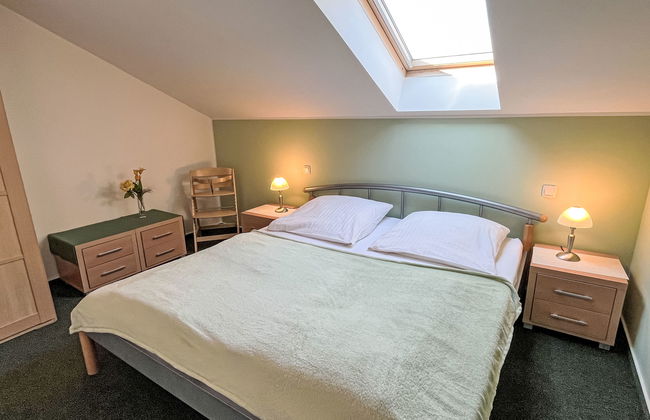 Zaunkönig - Foto 15