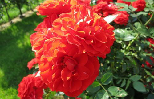 Feldererhof - Foto 17