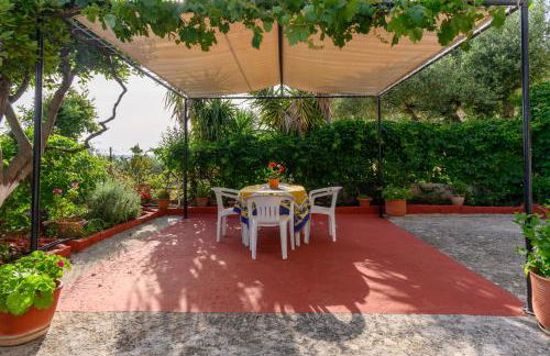 BUENA VISTA studios - Foto 45