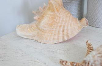 Casa Giosuè - Your home on the Amalfi Coast - Foto 29