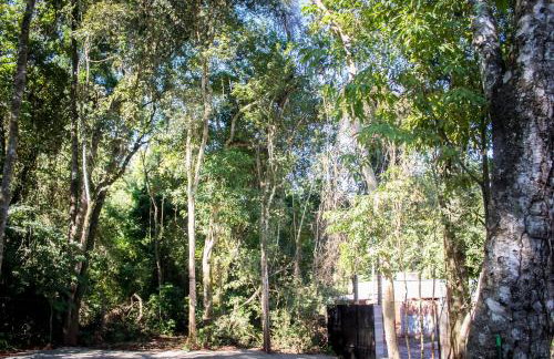 Loft com vista para mata! - Foto 42