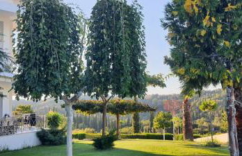 Mythos luxury apartments - Foto 23