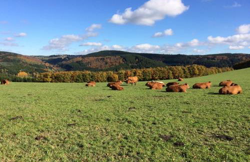 Appartementen Edel - Foto 49