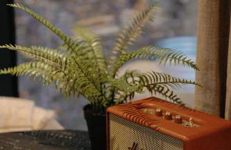 Staghorn | Modern Lux Mirror Home | HotTub & Woods - Foto 41