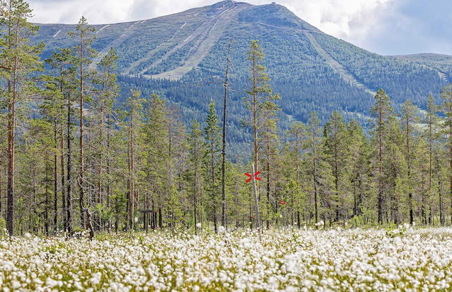 8 Person Holiday Home in Lofsdalen - Foto 7