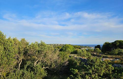 Authentic House Pelegrinka - Foto 41