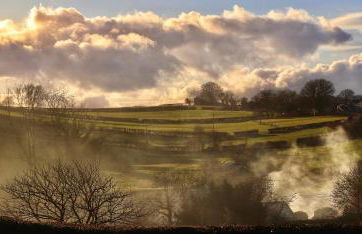 Robin Cabin with hot tub - Foto 30