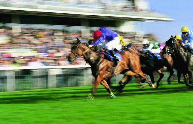 StayCentral - Brunswick Vibe Parkville - Foto 22