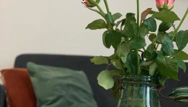 Le Constantin - Charme & confort à 2 pas du centre-ville - Foto 4