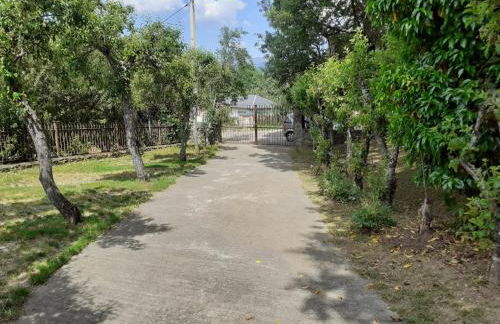 La Albarina - Foto 24