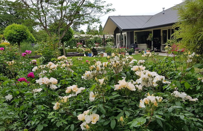 Marchmont Gardens - Photo 46