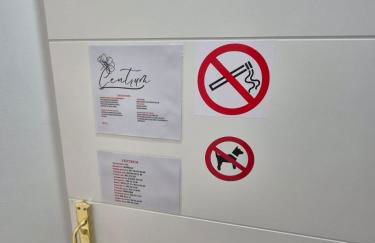 Downtown Apartments - Photo 12