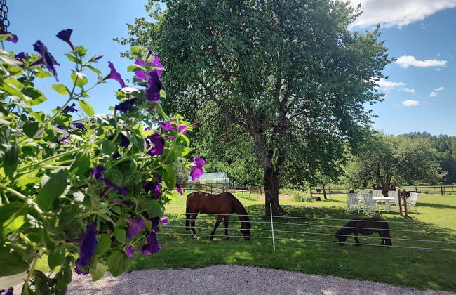 Charming 6 Bedroom House & Horse Farm - Sleeps 12 - Foto 43