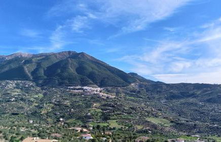 Suite La Fuente - Photo 32