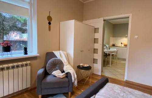 Apartamenty Jagodzianka - Jacuzzi, Sauna, Hot-bania, Tężnia - Foto 40