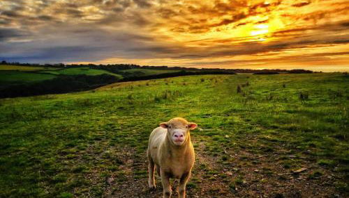 Outdoor bath, sea, sunset views - Foto 4