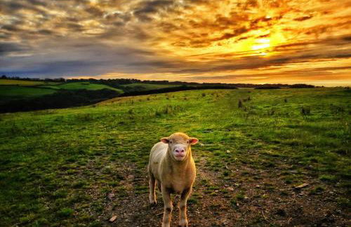 Outdoor bath, sea, sunset views - Foto 4
