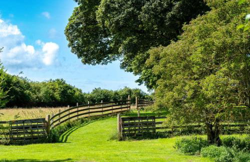 Marcassie Farm Lodges - Willow Studio - Photo 14