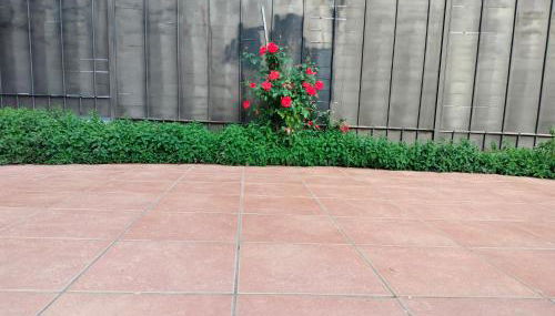 La Casa de las Nereidas - Foto 3, Garden