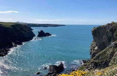 Cuddfan Fach - Pembrokeshire Stunning Barn near the Coastal Path - Foto 10