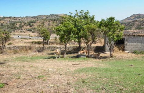 Villa Rossella - Foto 29