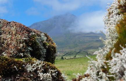 Recanto Terra Alta - Photo 29