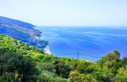 Pantheon 2 - Foto 15