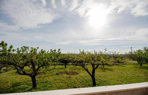 Villa Laura - Photo 94