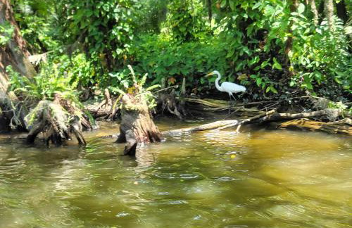 Camp St. Cabanas Unit 4 - Photo 8