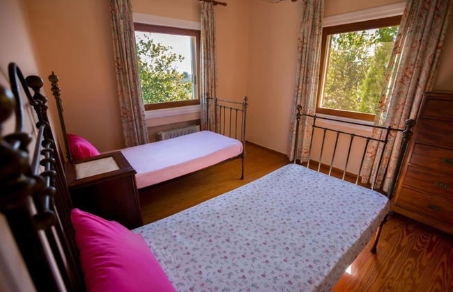 Hacienda Olivo - Hacienda Olivo - Foto 33