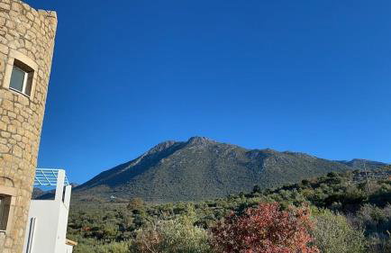 Rapunzel's Tower Mani - Foto 29