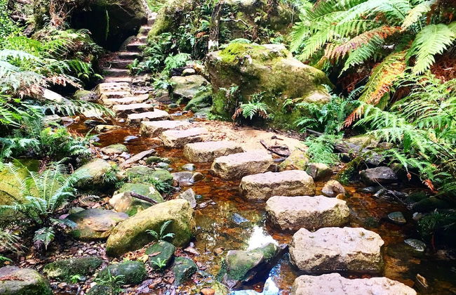 Endellion - Photo 38