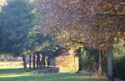 Cazal Da Lamella - Foto 13