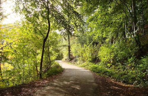 One-bedroom apartment - Foto 13