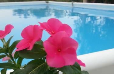 Agriturismo Tenuta Carbonara - Foto 10