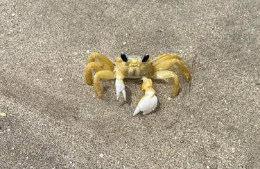 Casa OKA X (09) - Foto 37