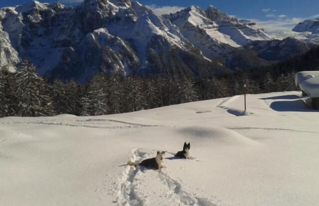 Agritur Sole Levante - Foto 21