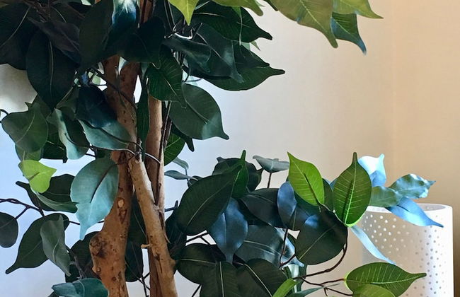 City Pad with balcony and secure parking - Foto 7