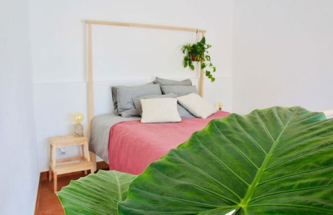 João Jungle - Foto 8