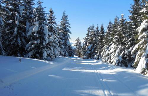 Appartement confortable à Ignaux, 31 m² avec piscine - Foto 19
