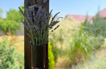 Apartment Gabriela - Foto 32