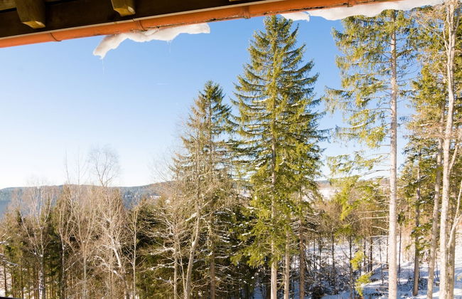 Apartment in the Black Forest With Balcony - Foto 26