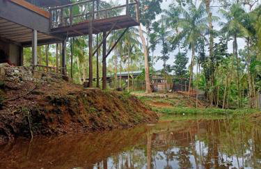 Sitio Lady Laura Biritiba Ussu Mogi - Foto 40