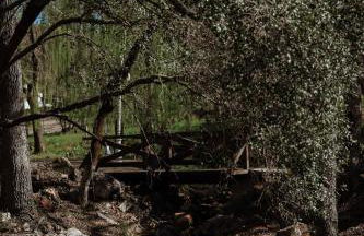 Treehouse Overlook at Lakewood - Foto 67
