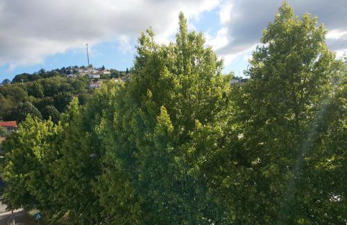 Alto Minho Central Apartment - Foto 30